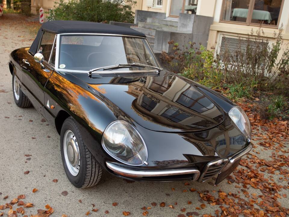 Image 10/51 of Alfa Romeo 1600 Spider Duetto (1966)