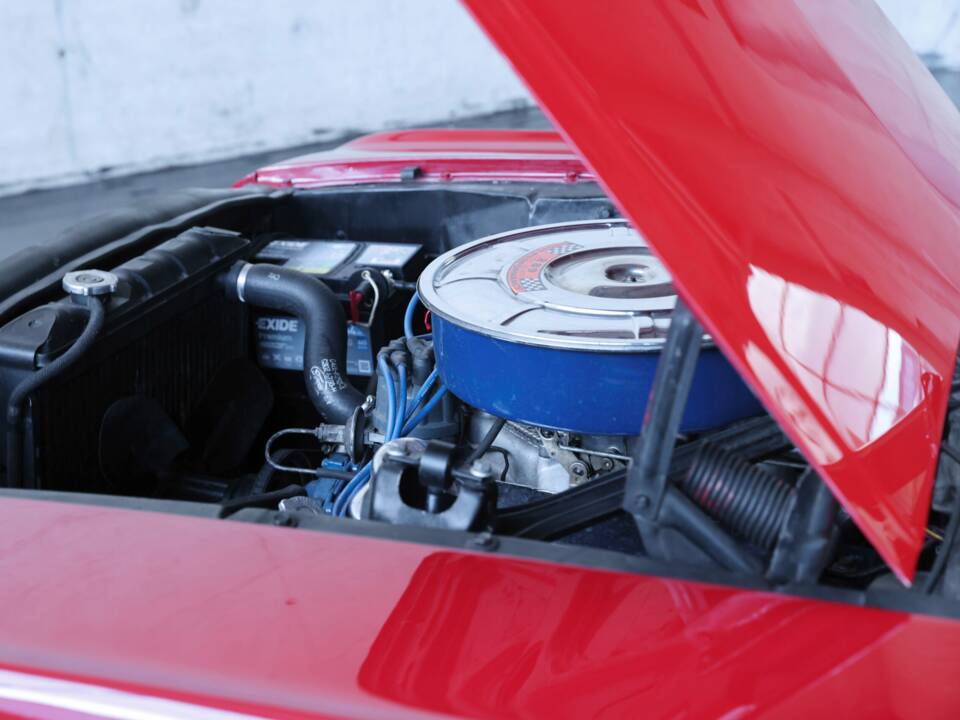 Immagine 46/50 di Ford Mustang 289 (1965)