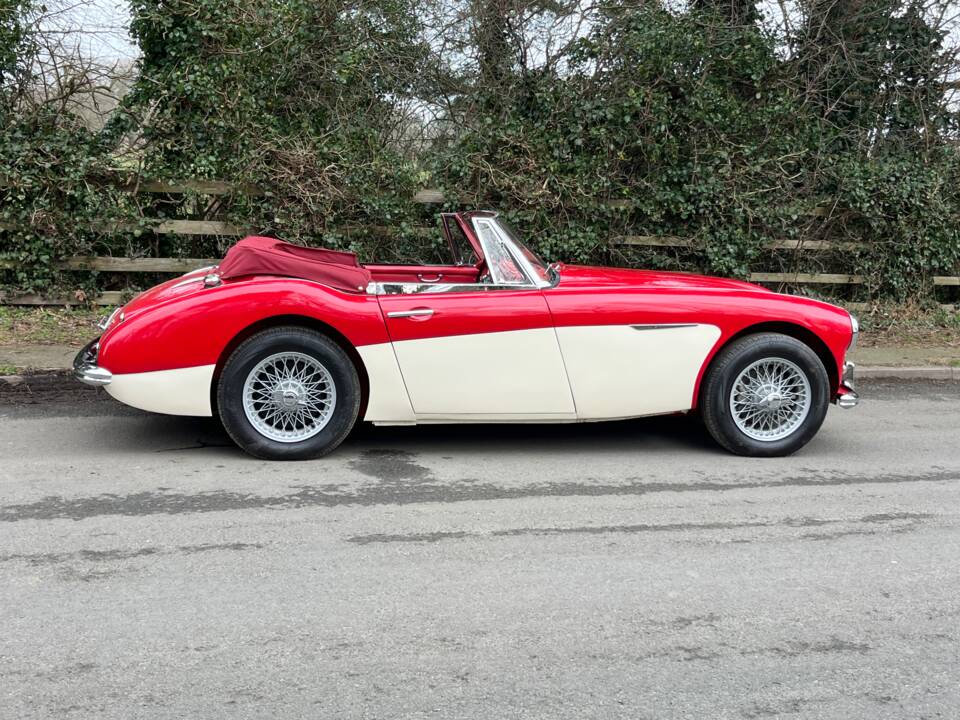 Afbeelding 7/21 van Austin-Healey 3000 Mk II (BN7) (1962)