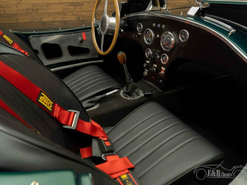 Bild 16/19 von Suffolk C-Type Jaguar (1951)