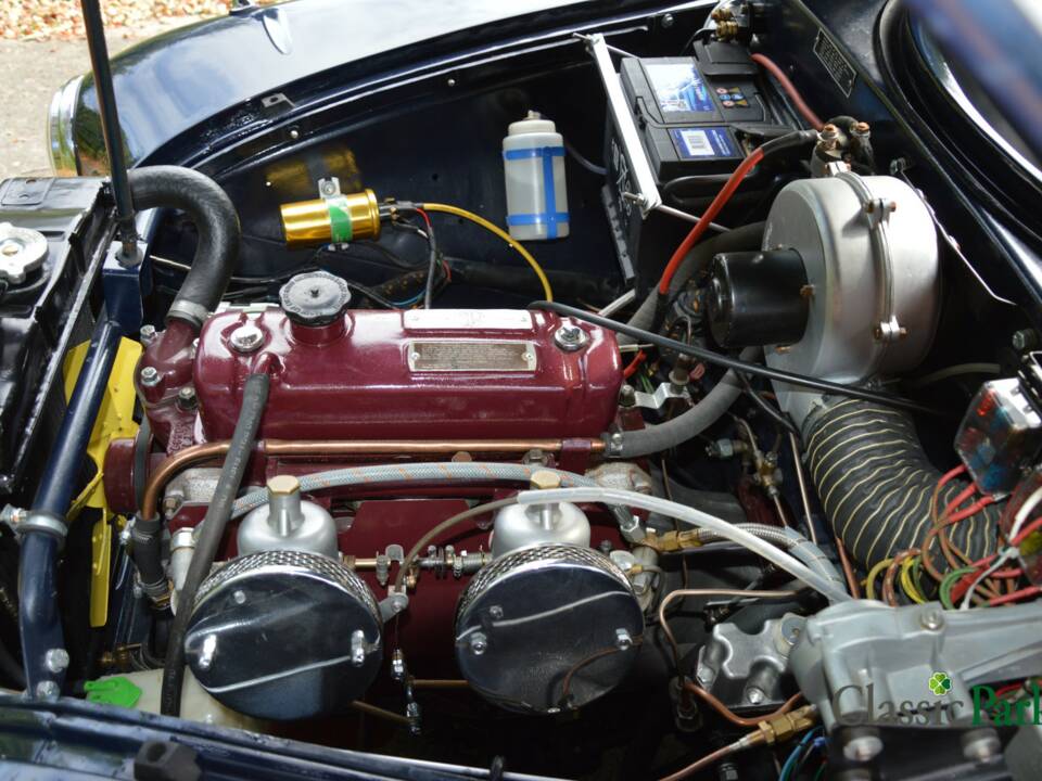 Bild 46/50 von MG Magnette ZB (1958)
