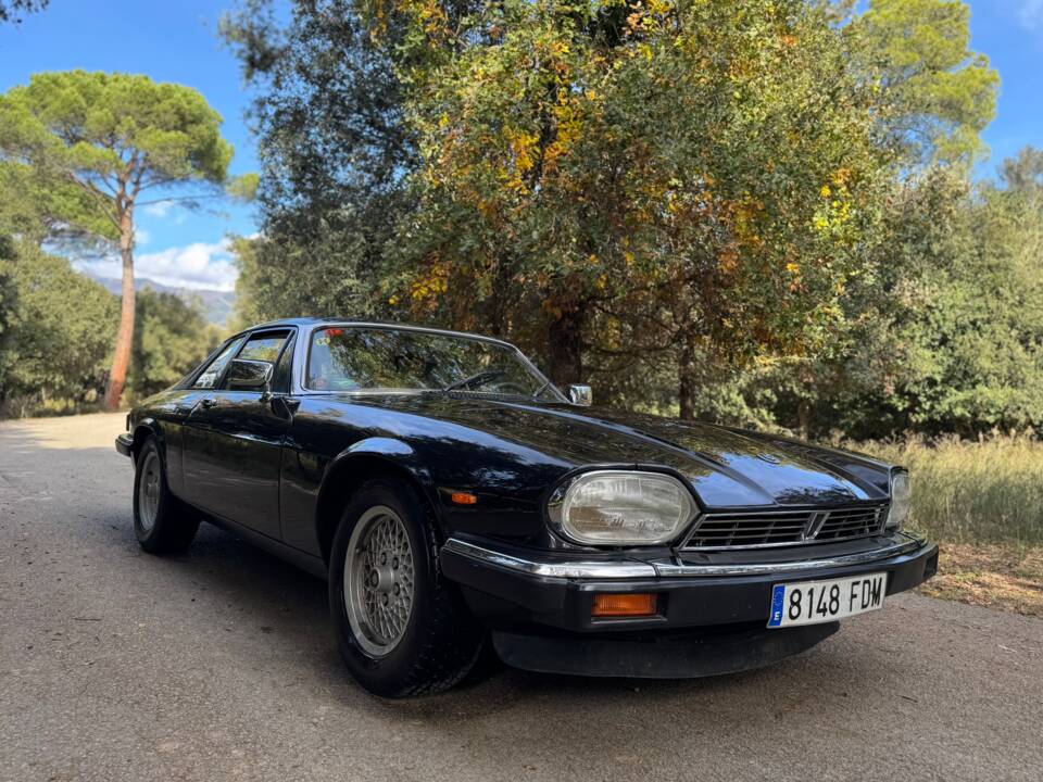 Image 3/47 of Jaguar XJ-S 3.6 (1988)