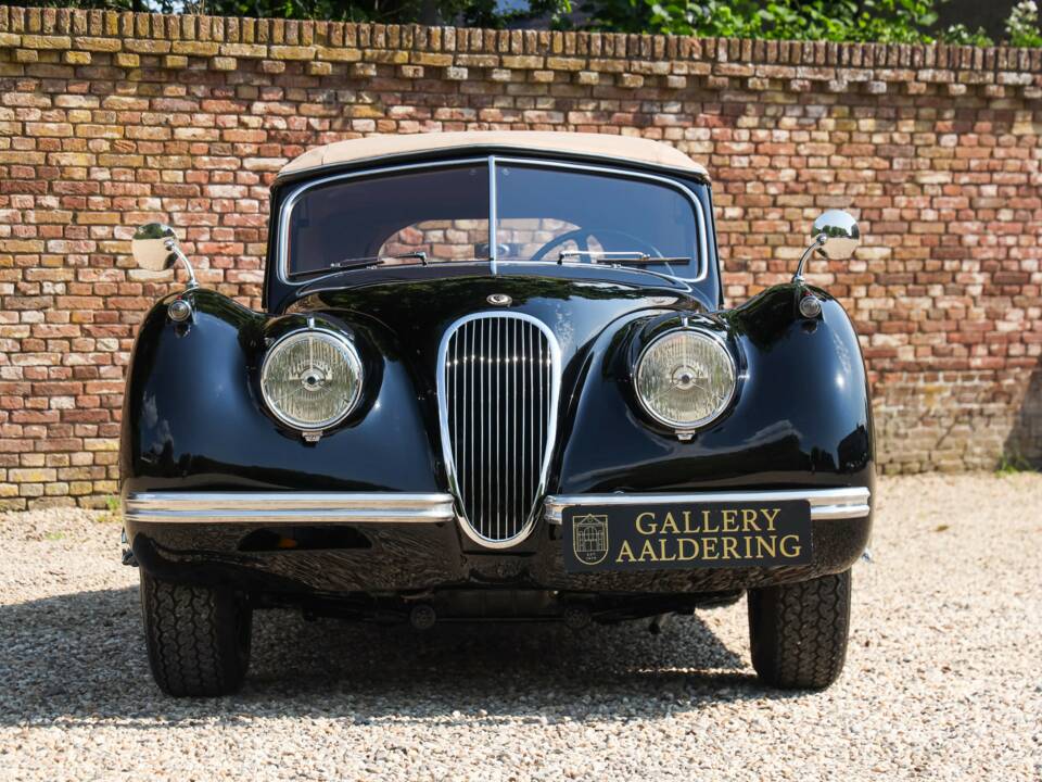 Immagine 18/50 di Jaguar XK 120 DHC (1953)