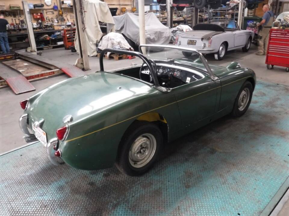 Bild 44/50 von Austin-Healey Sprite Mk I (1960)