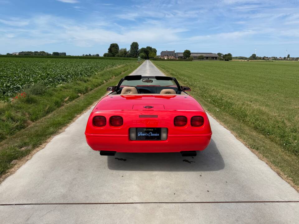 Imagen 8/43 de Chevrolet Corvette Convertible (1995)