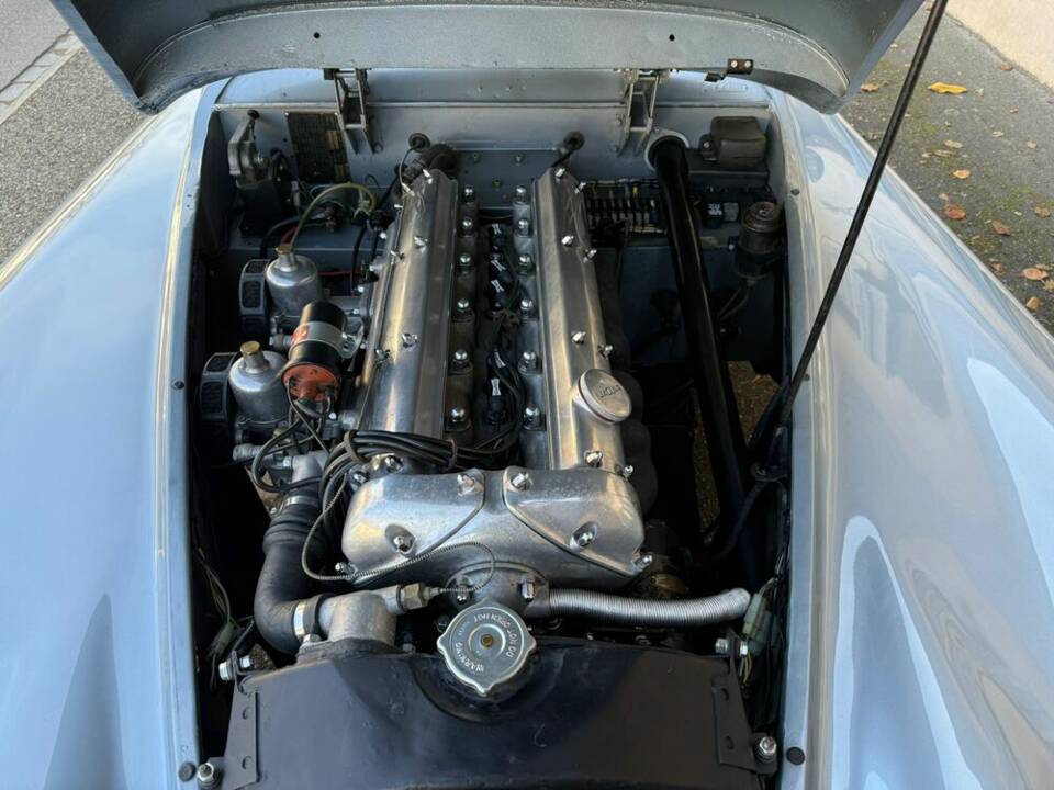 Image 16/21 of Jaguar XK 120 SE OTS (1954)