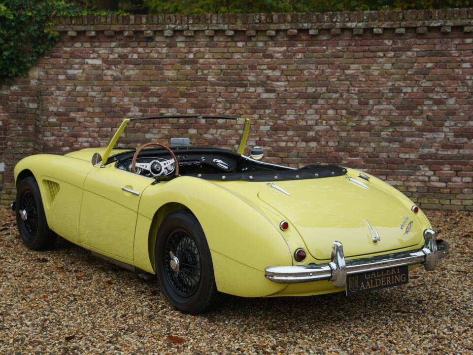 Bild 15/50 von Austin-Healey 3000 Mk I (BN7) (1960)