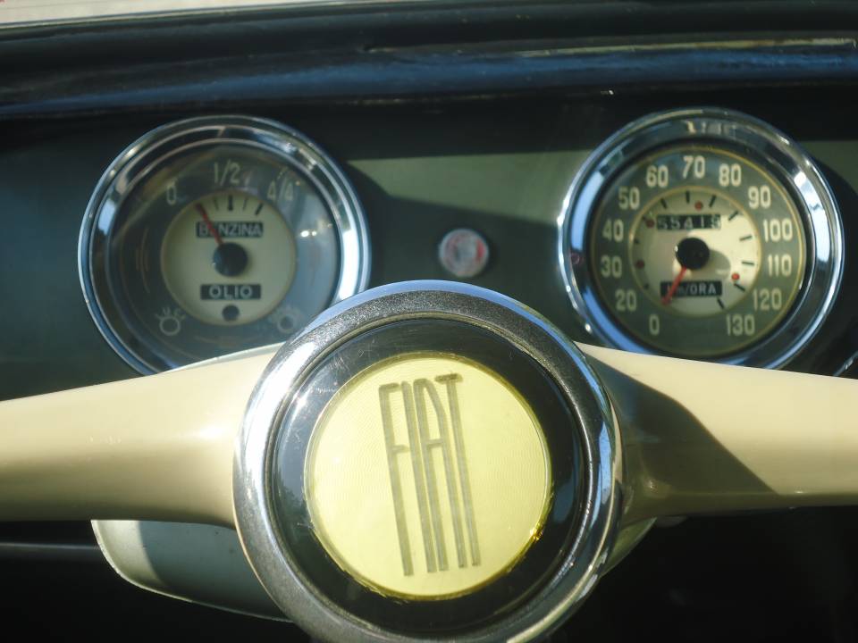 Image 40/50 of FIAT 1100-103 Vignale (1956)