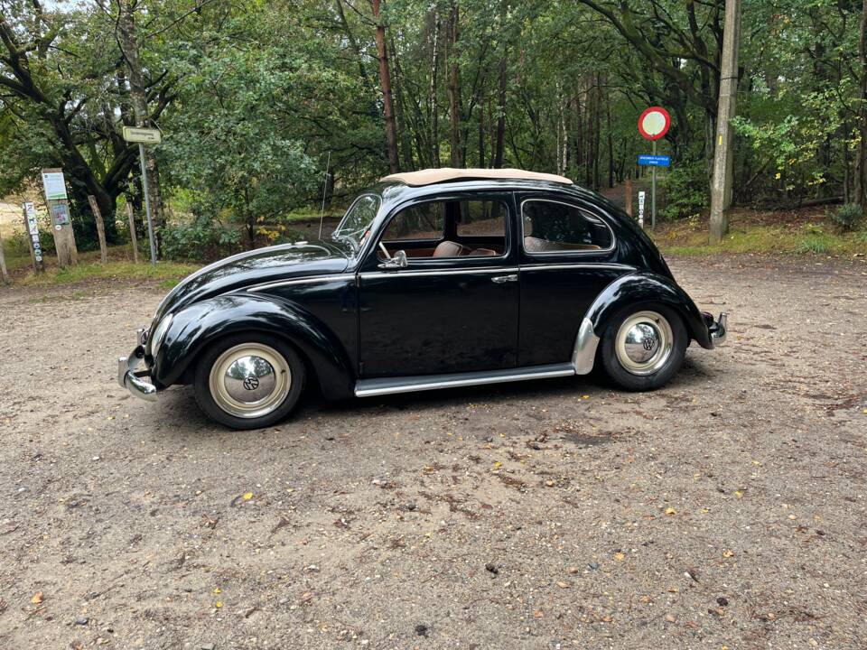 Bild 2/26 von Volkswagen Käfer 1200 Standard &quot;Ovali&quot; (1954)