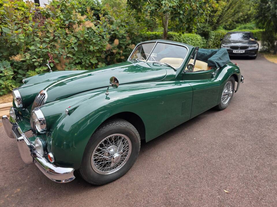 Bild 1/45 von Jaguar XK 140 DHC (1955)