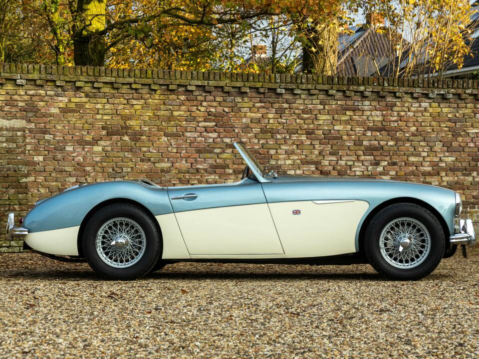 Bild 35/50 von Austin-Healey 3000 Mk I (BN7) (1960)