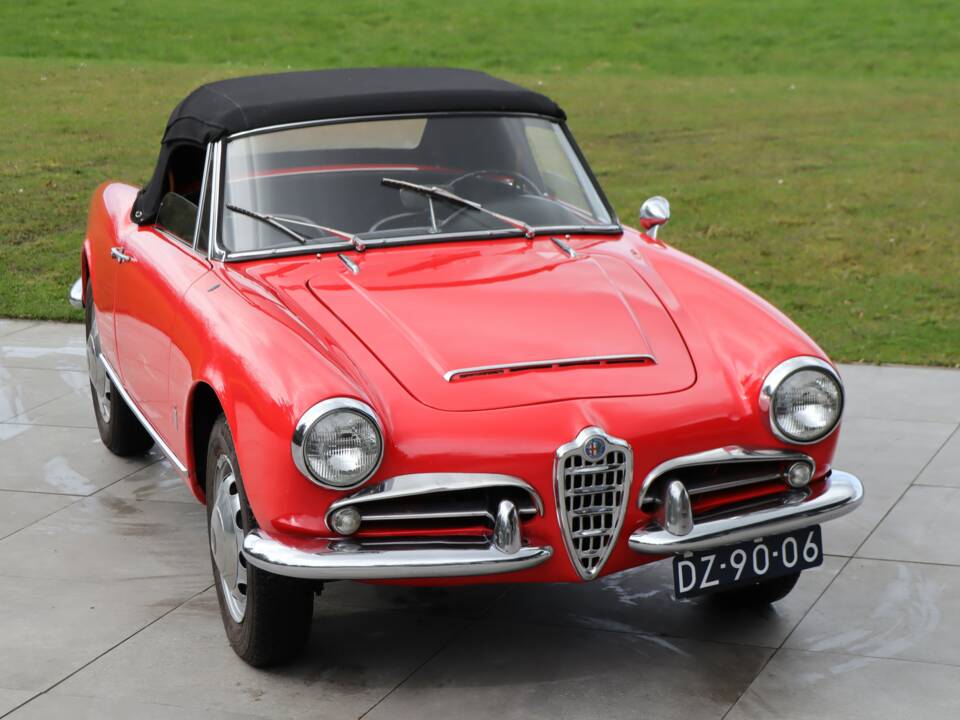 Bild 14/50 von Alfa Romeo Giulia 1600 Spider Veloce (1965)