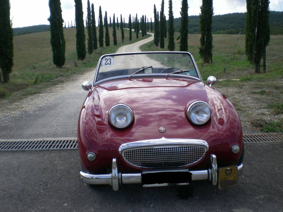 Bild 2/10 von Austin-Healey Sprite Mk I (1959)