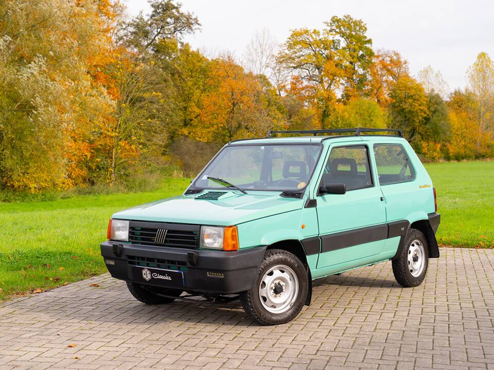 Afbeelding 1/39 van FIAT Panda Trecking 4x4 (2000)