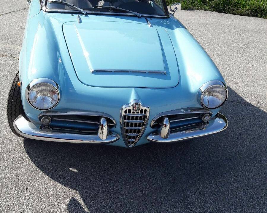 Afbeelding 18/18 van Alfa Romeo Giulia 1600 Spider Veloce (1965)