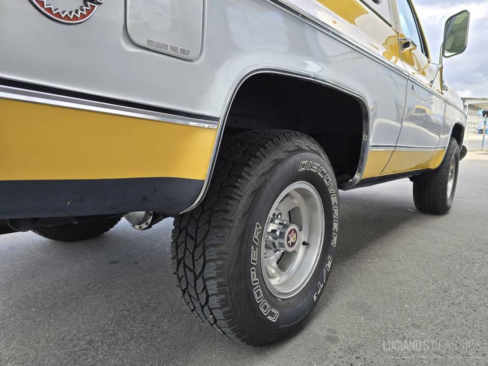 Immagine 21/54 di Chevrolet Blazer (1979)