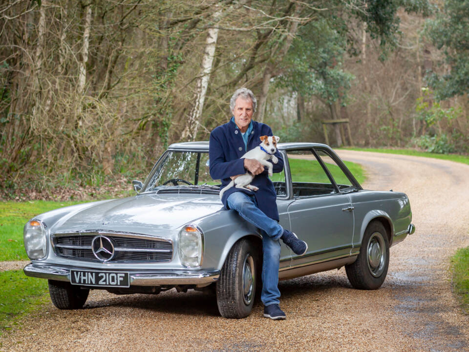 Image 4/42 de Mercedes-Benz 250 SL (1967)
