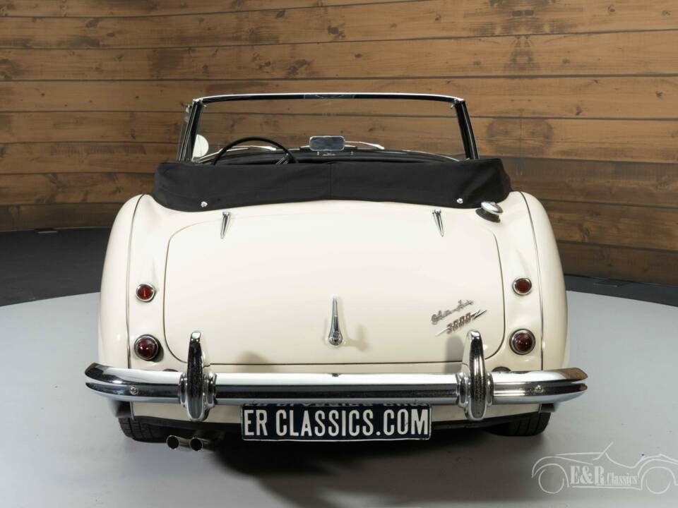 Imagen 4/6 de Austin-Healey 3000 Mk III (BJ8) (1964)