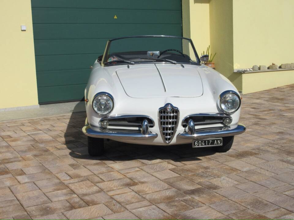 Bild 3/30 von Alfa Romeo Giulietta Spider (1961)