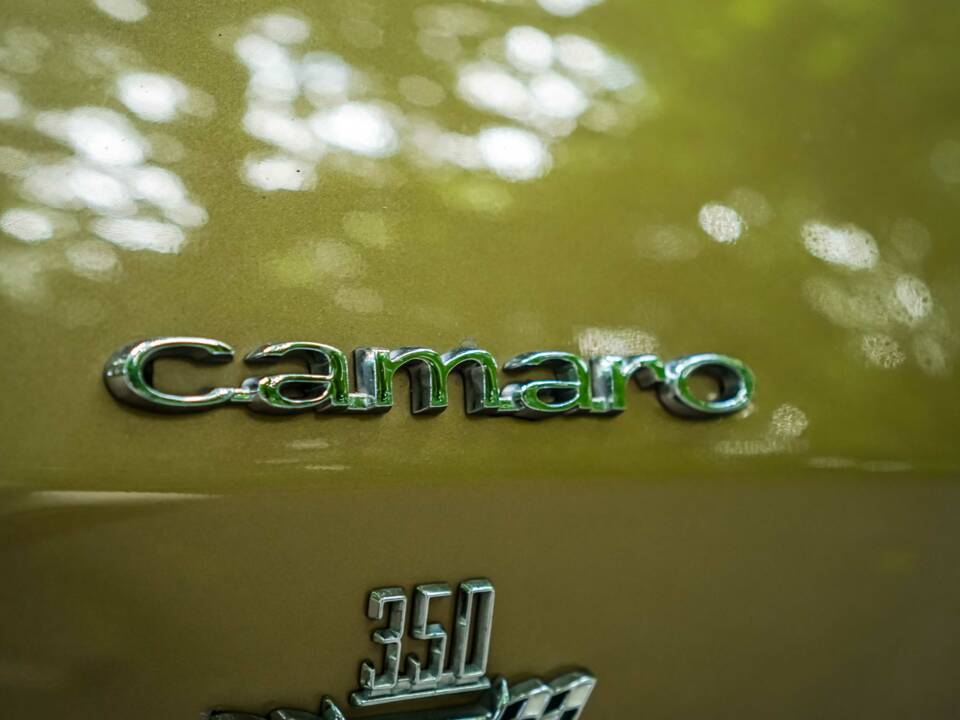 Bild 44/181 von Chevrolet Camaro SS (1967)