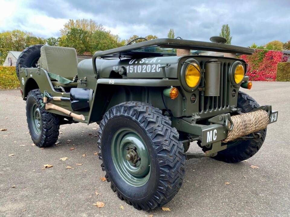 Immagine 7/16 di Willys Jeep M38 A1 (1952)