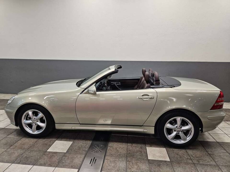 Bild 4/15 von Mercedes-Benz SLK 230 Kompressor (2000)