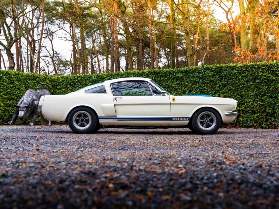 Image 7/27 of Ford Shelby GT 350 (1966)
