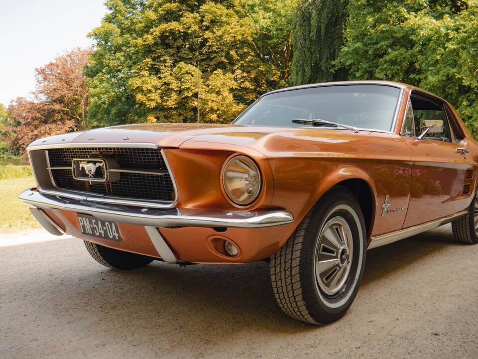 Image 11/81 of Ford Mustang 289 (1967)