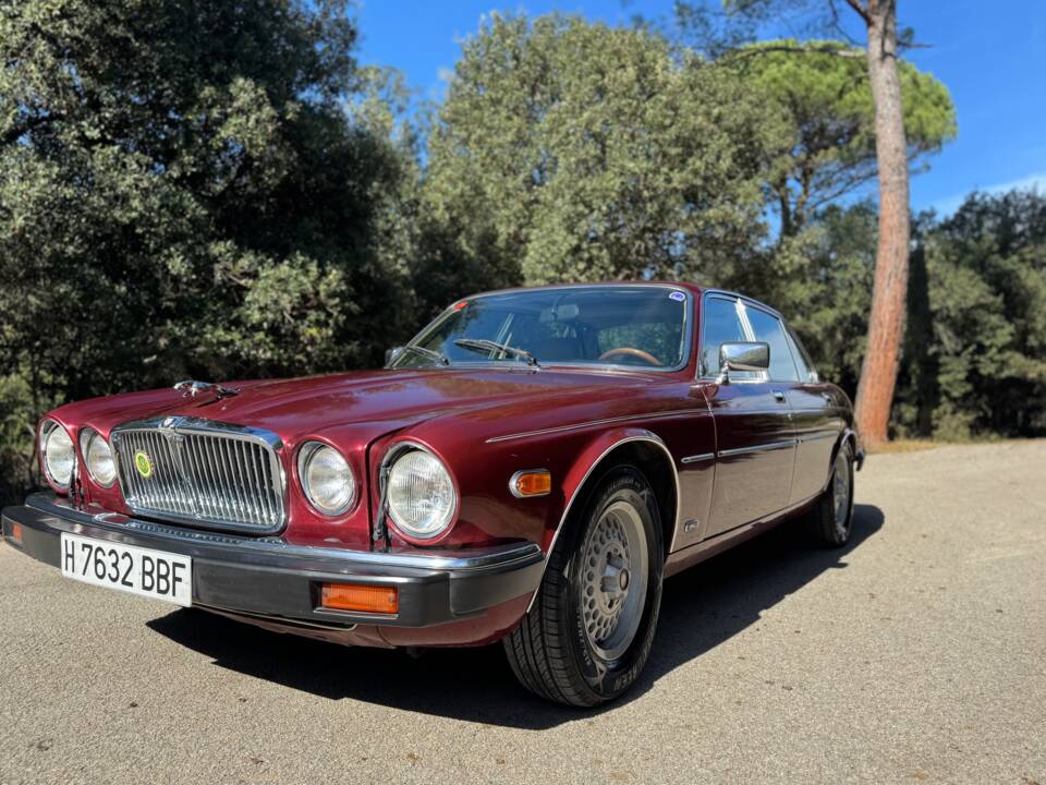 Immagine 36/41 di Jaguar XJ 12 (1990)