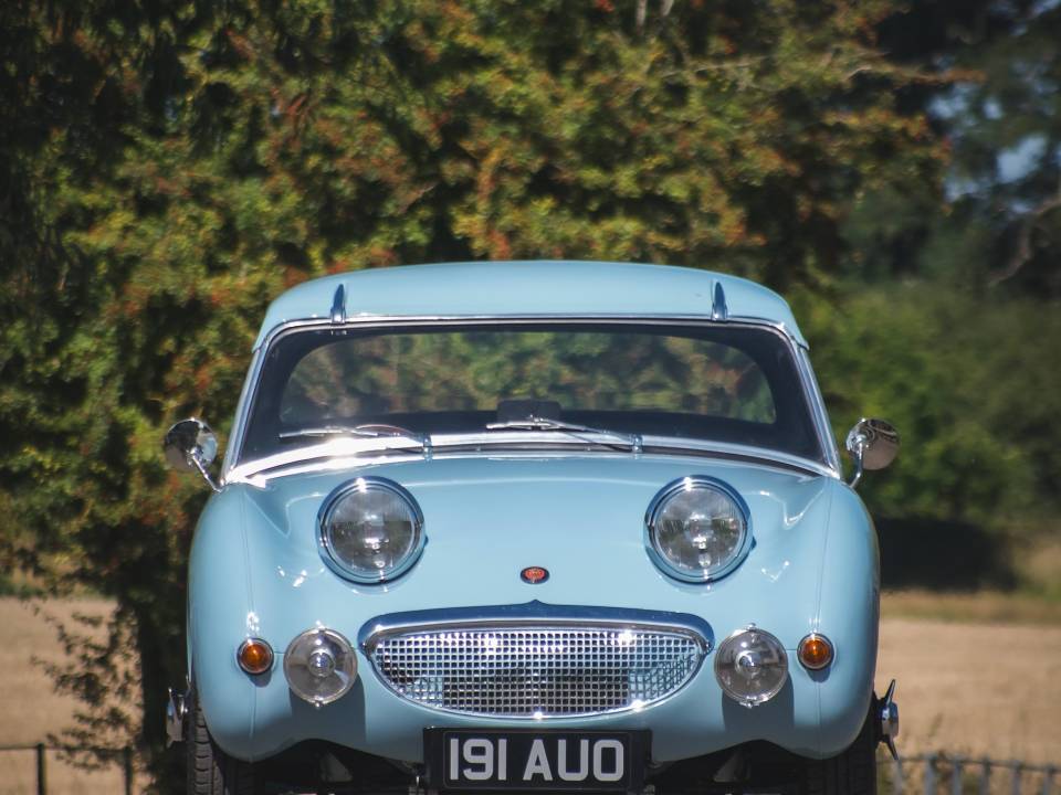 Image 6/16 de Austin-Healey Sprite Mk I (1958)