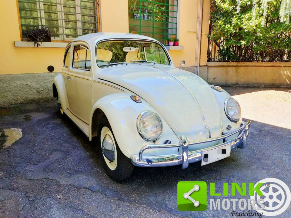 Immagine 3/10 di Volkswagen Coccinelle 1200 Export &quot;Dickholmer&quot; (1963)