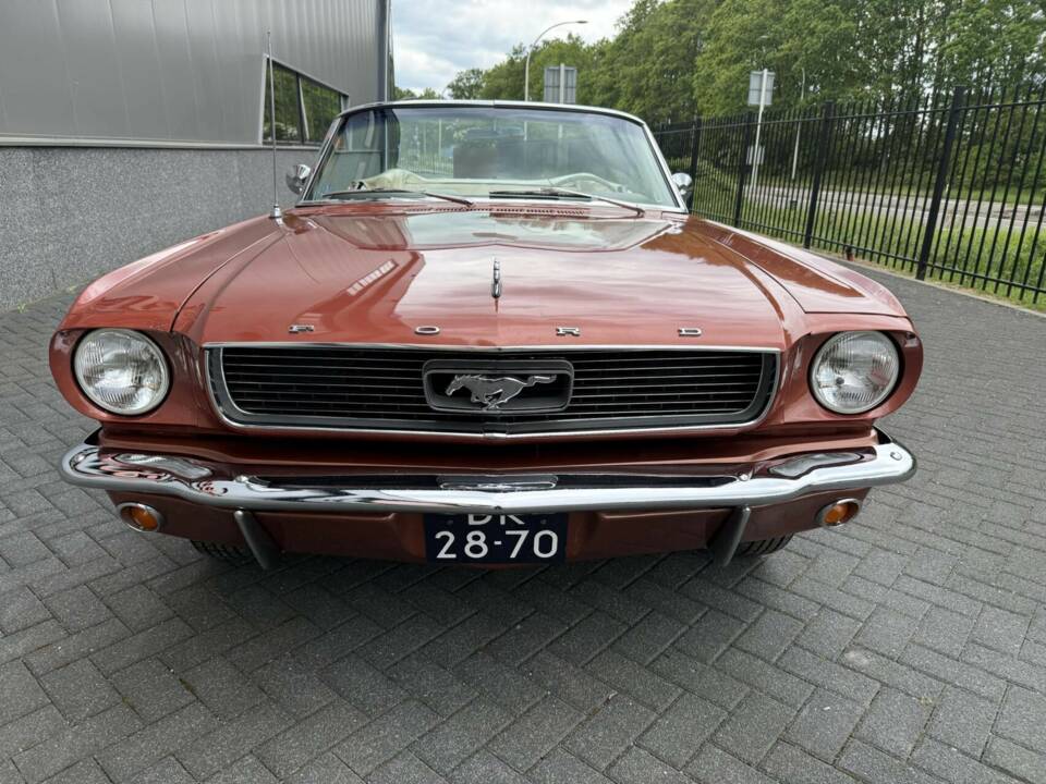 Bild 5/50 von Ford Mustang 289 (1966)