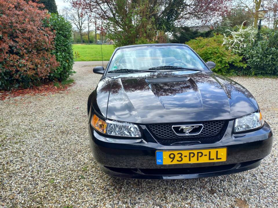 Afbeelding 5/8 van Ford Mustang GT (2000)