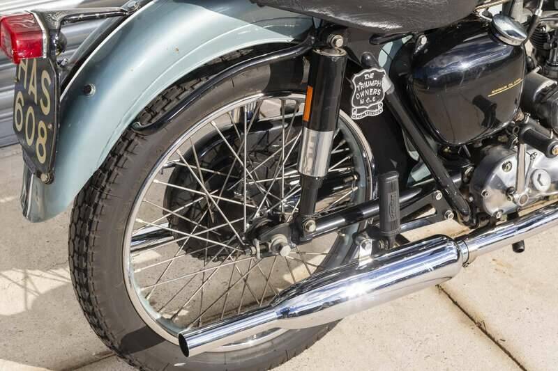 Image 17/46 of Triumph Tiger 100 II (1954)