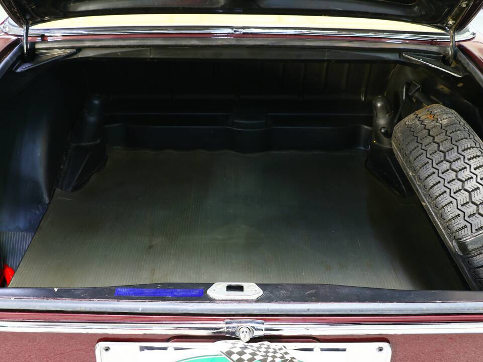 Bild 28/39 von Mercedes-Benz 220 SE b (1964)