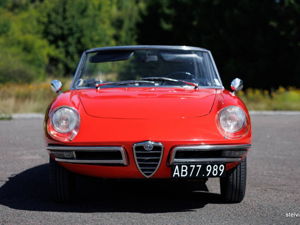 Afbeelding 12/37 van Alfa Romeo 1600 Spider Duetto (1966)