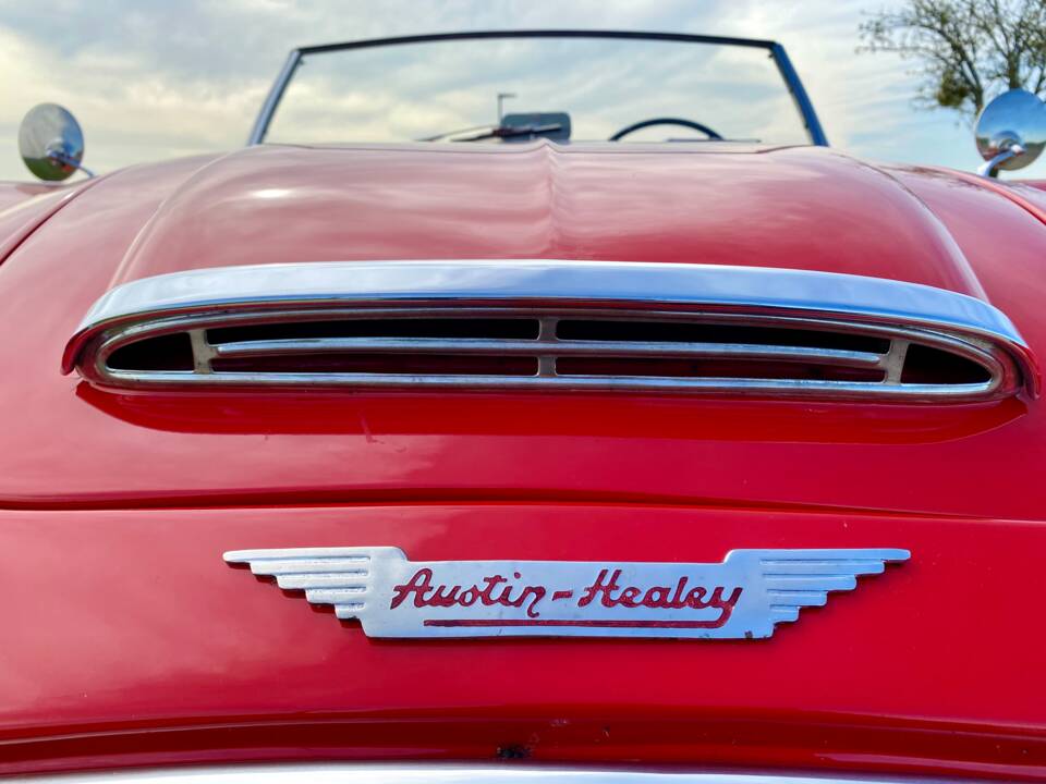 Bild 17/46 von Austin-Healey 100/6 (BN4) (1957)