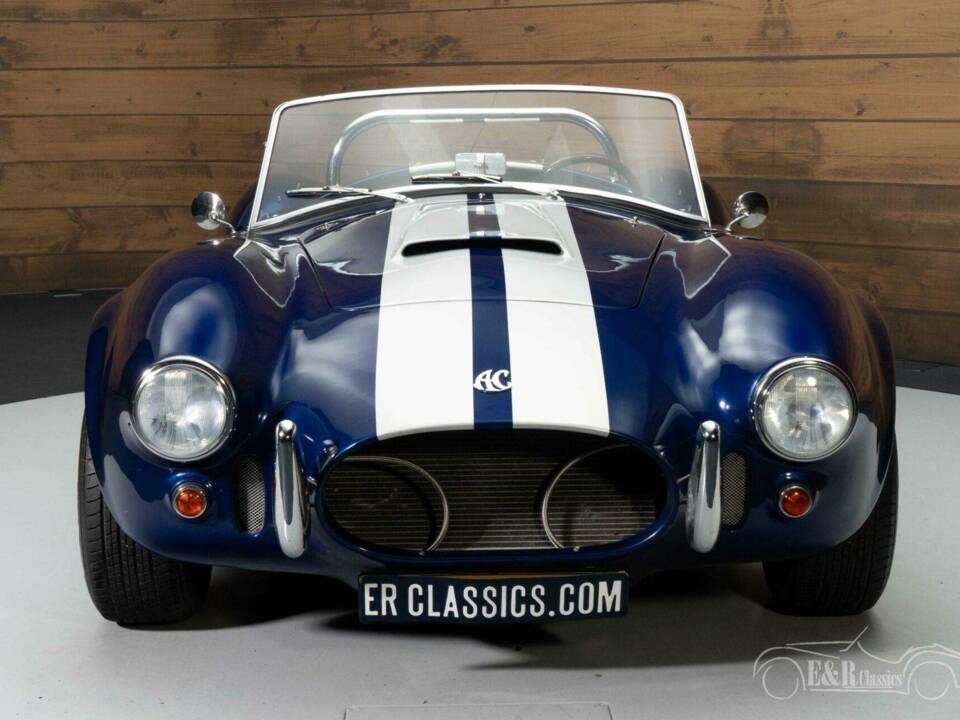 Image 16/19 of AC Cobra (1990)