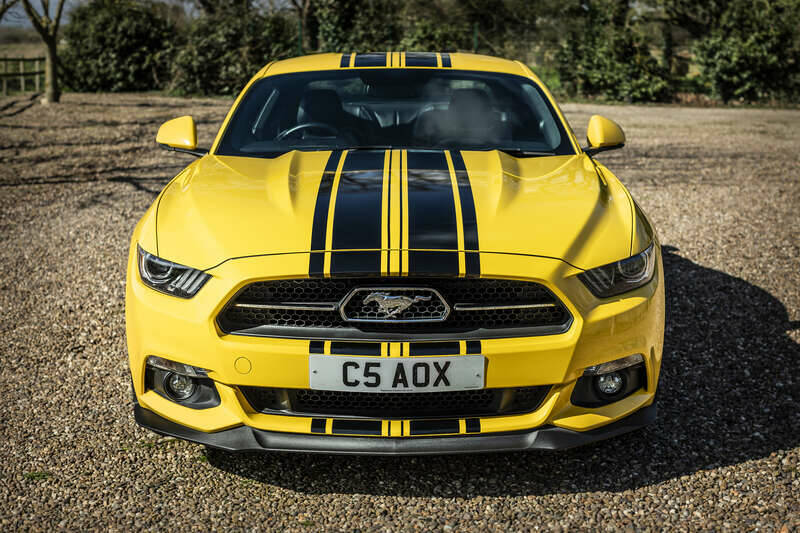 Immagine 43/43 di Ford Mustang Shelby GT 500 (2016)