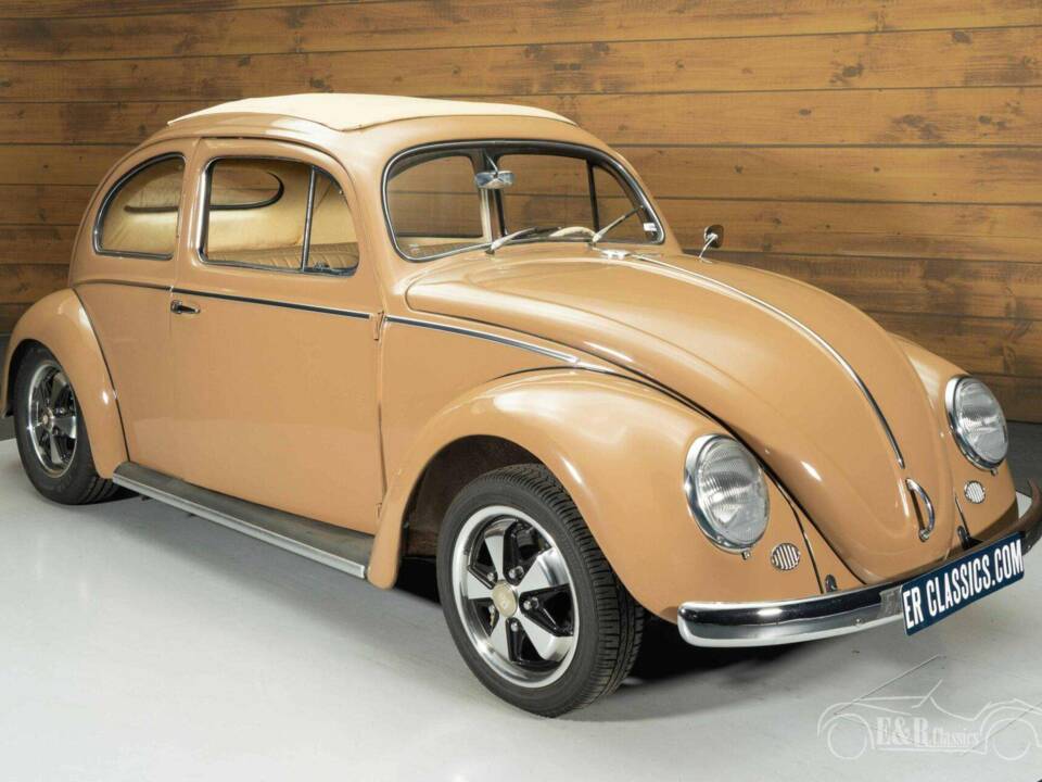 Immagine 3/19 di Volkswagen Maggiolino 1200 Export "Oval" (1957)