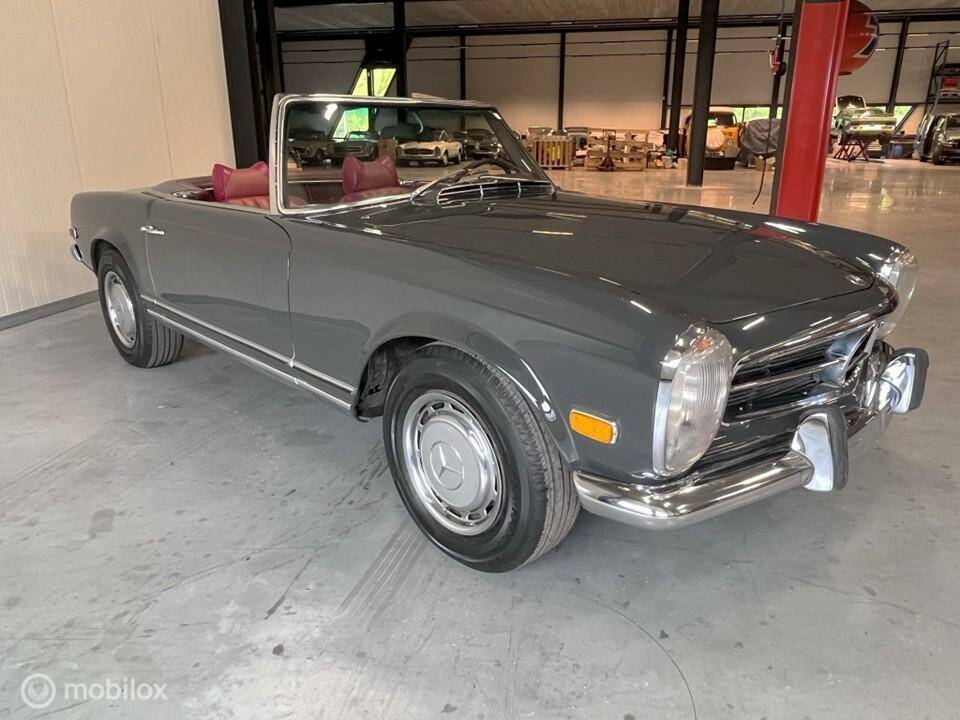 Image 4/40 of Mercedes-Benz 280 SL (1970)