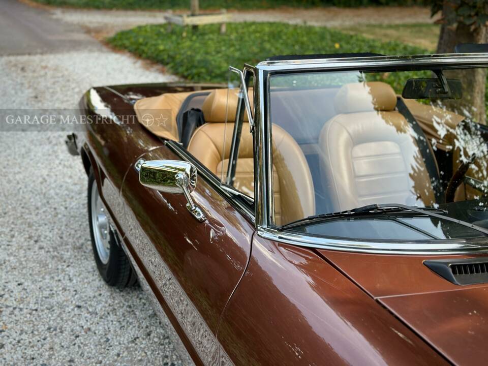 Image 31/100 of Alfa Romeo 2000 Spider Veloce (1980)