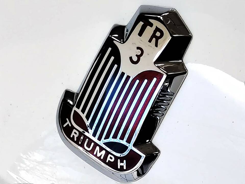 Immagine 21/80 di Triumph TR 3 (1955)