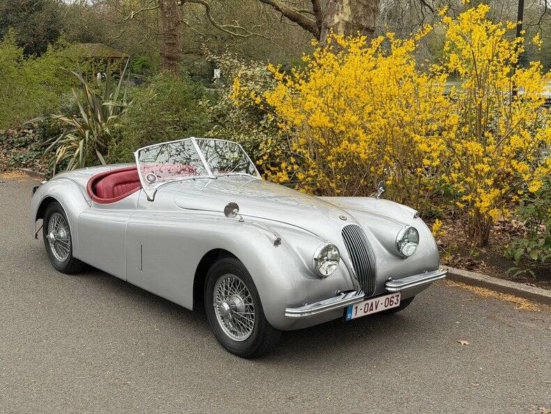 Image 22/50 of Jaguar XK 120 OTS (1953)