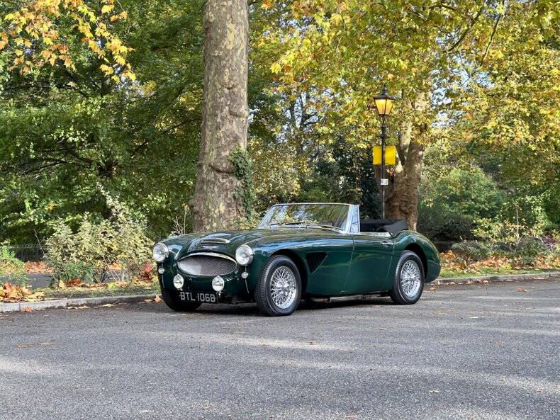 Imagen 4/50 de Austin-Healey 3000 Mk II (BJ7) (1964)