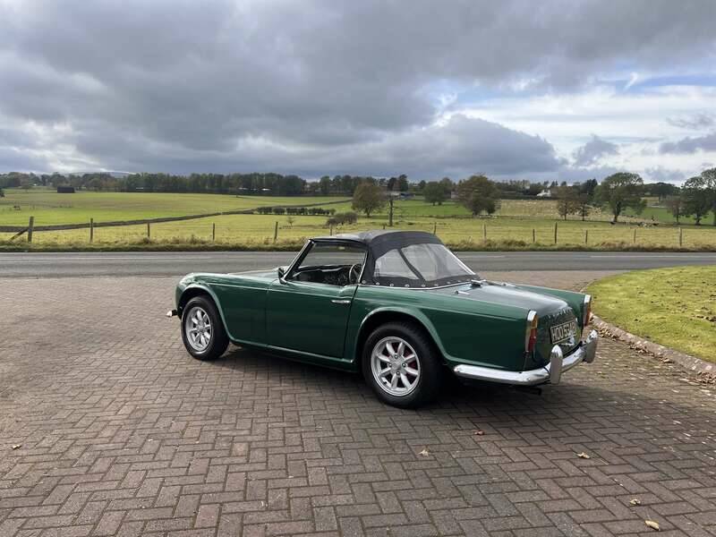 Immagine 25/45 di Triumph TR 4 (1964)