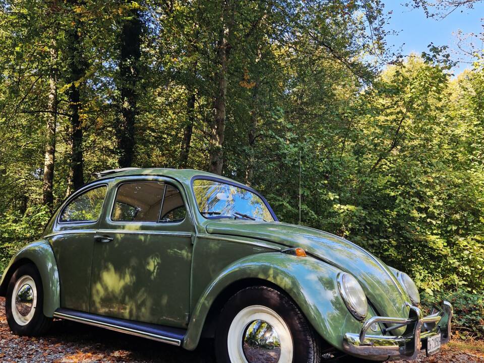 Bild 16/23 von Volkswagen Escarabajo 1200 (1960)