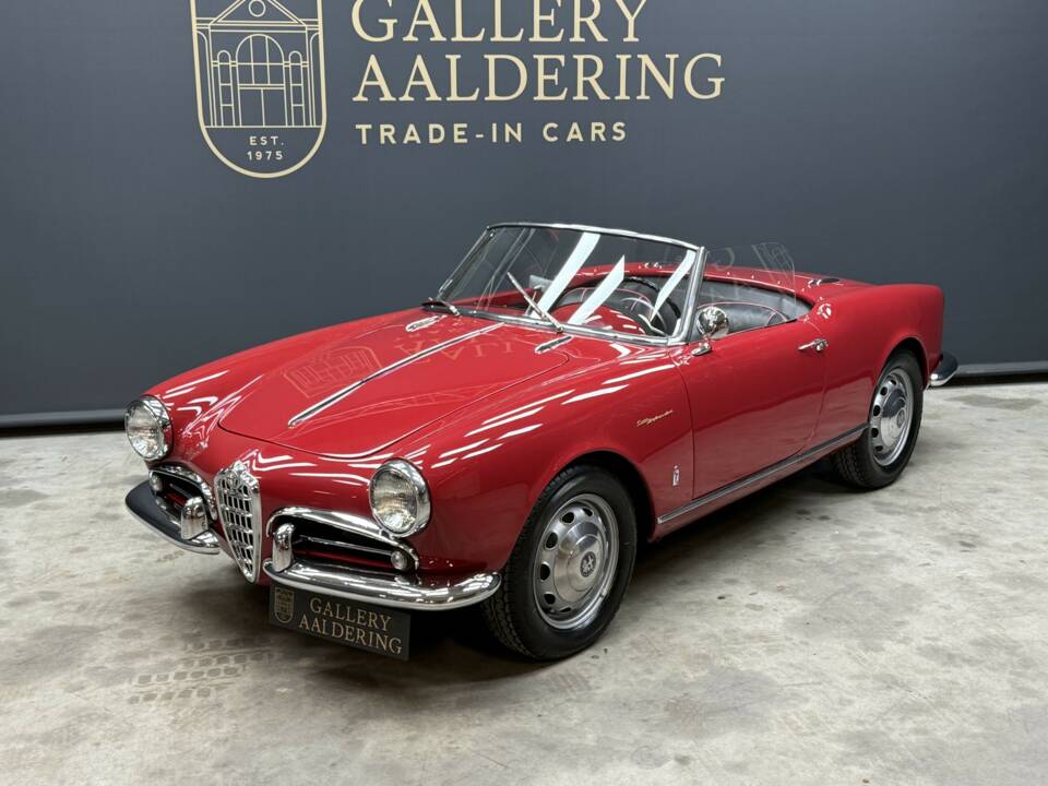 Bild 26/50 von Alfa Romeo Giulietta Spider Veloce (1959)