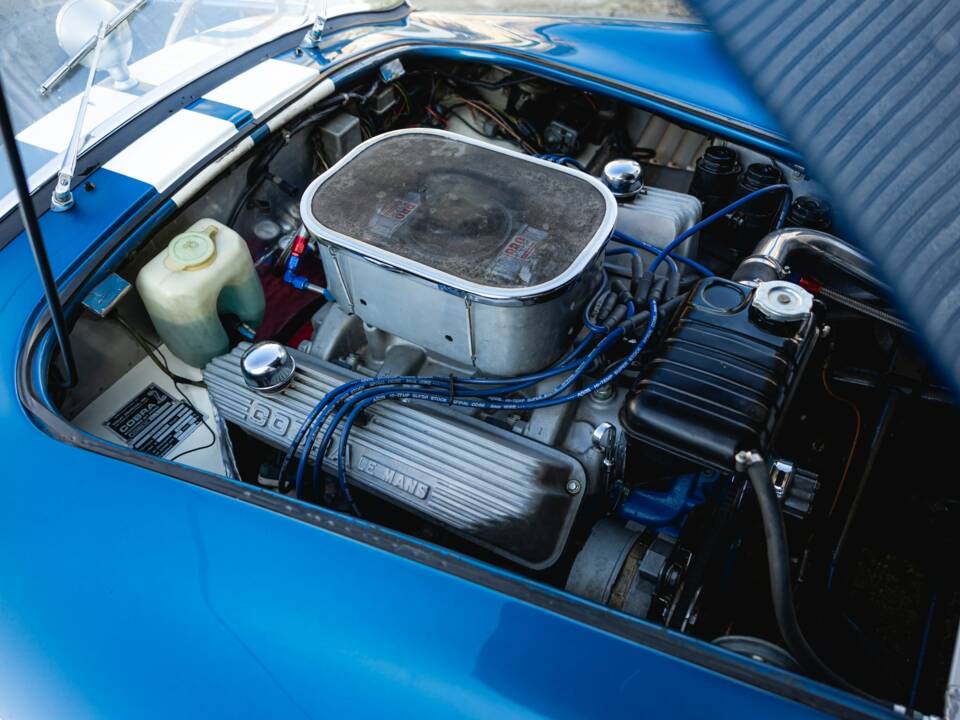 Image 4/68 of Shelby Cobra 289 (1966)