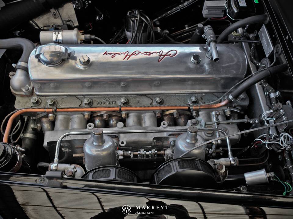 Immagine 24/68 di Austin-Healey 3000 Mk I (BT7) (1959)